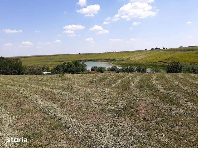 Teren de 8700 mp, în Belciugatele