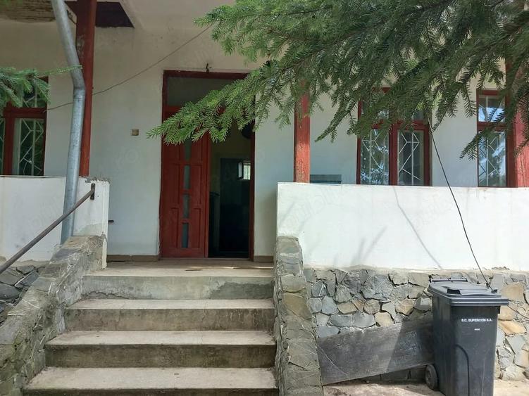 Casă cu 3 camere cu Teren 3600 Mp în Teiș