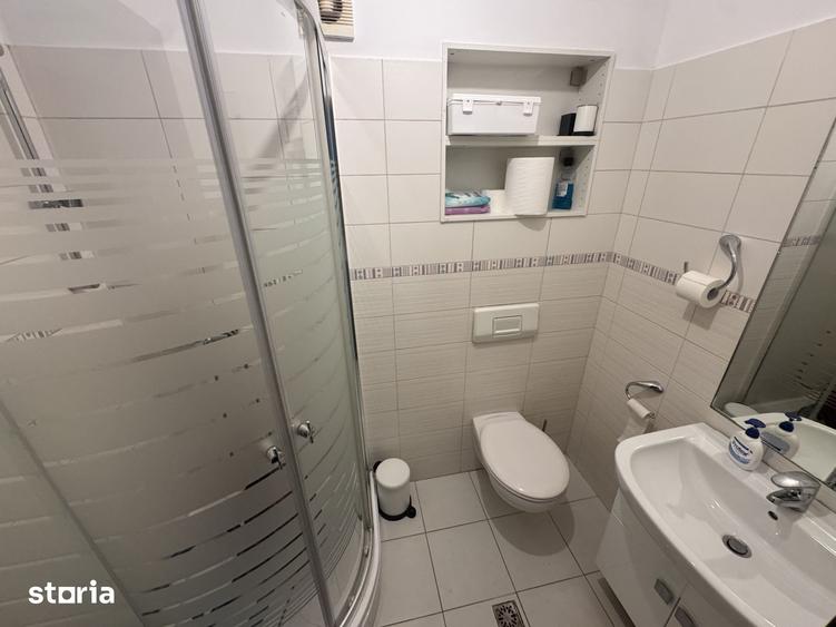Inchiriere vila pentru birouri - 3