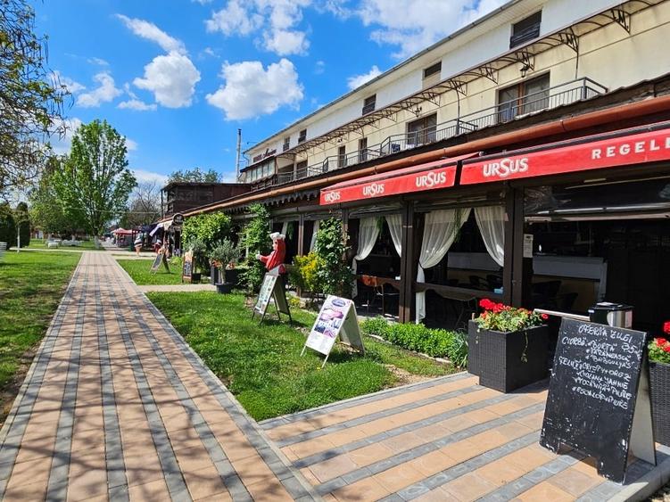 Teren Construcții intravilan de 9378 mp, în Santău