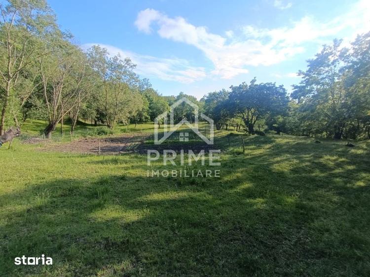 Casă cu 5 camere cu Teren 8142 Mp în Central