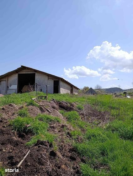 Casă cu 2 camere cu Teren 5300 Mp în Sânpaul