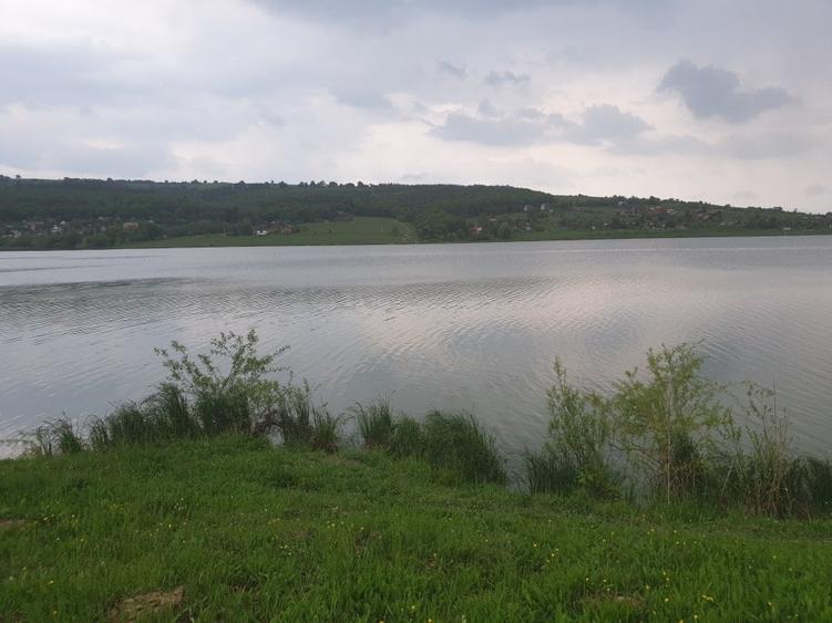Teren Construcții intravilan de 5800 mp, în Pădureni