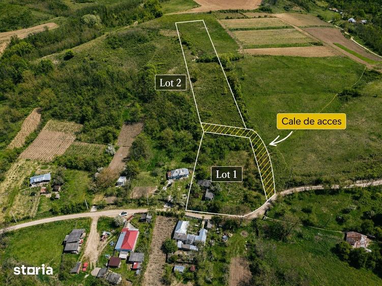 Casă cu 3 camere cu Teren 7391 Mp în Stănișești