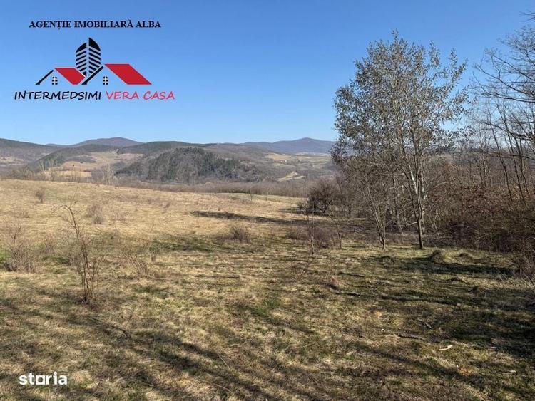 Spațiu comercial, în Pârău lui Mihai
