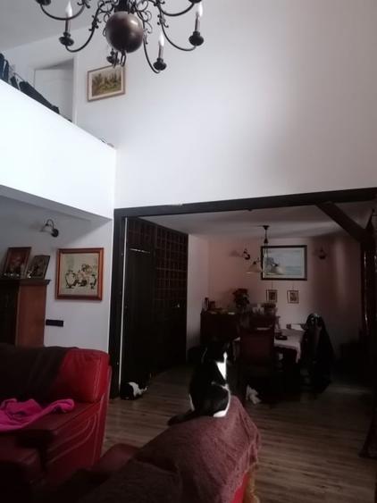 Casă individuală cu 5 camere cu Canalizare în Traian