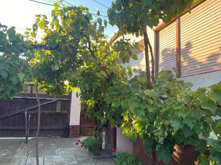Casă cu 3 camere în Dobârca