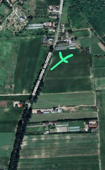 Teren de 7265 mp, în Siliștea Snagovului