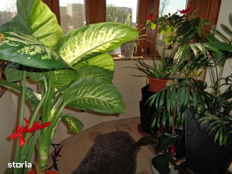 Apartament cu 2 camere în Intim