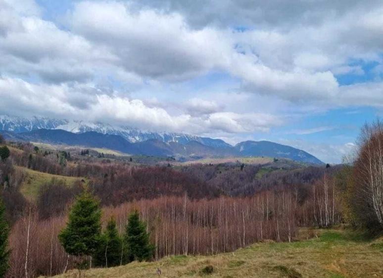 Teren de 1000 mp, în Drumul Carului
