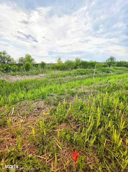 Teren de 7900 mp, în Bucov