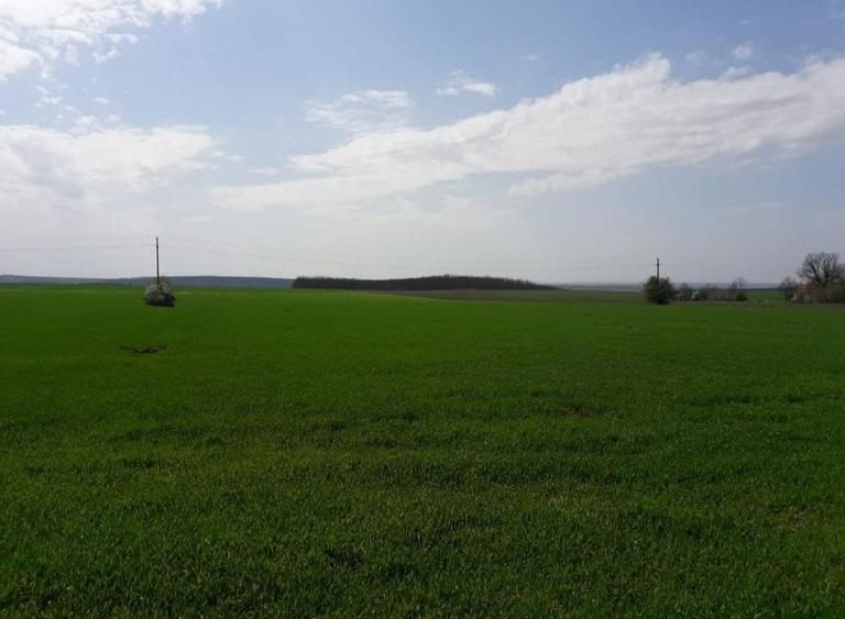Teren de 130000 mp, în Herneacova