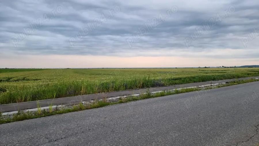 Teren de 30000 mp, în Filipeștii de Târg