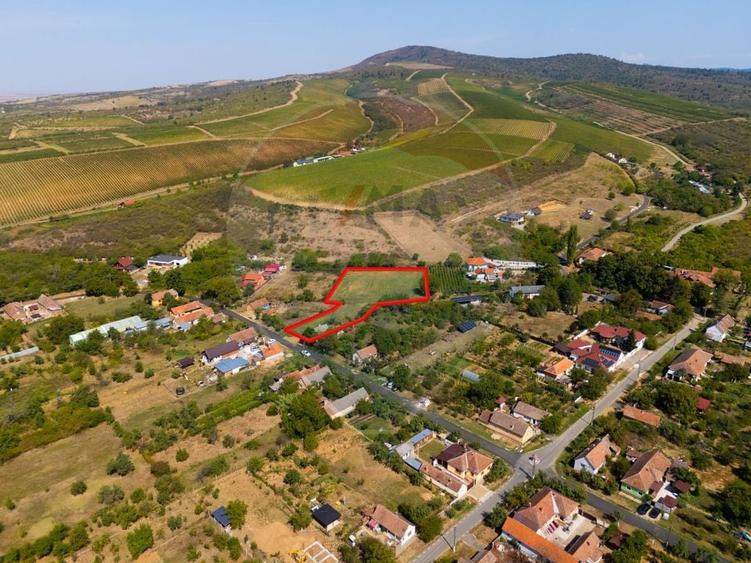 Teren Construcții intravilan de 4184 mp, în Miniș