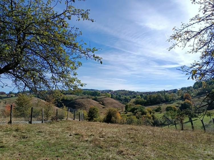 Teren Construcții intravilan de 1162 mp, în Jina
