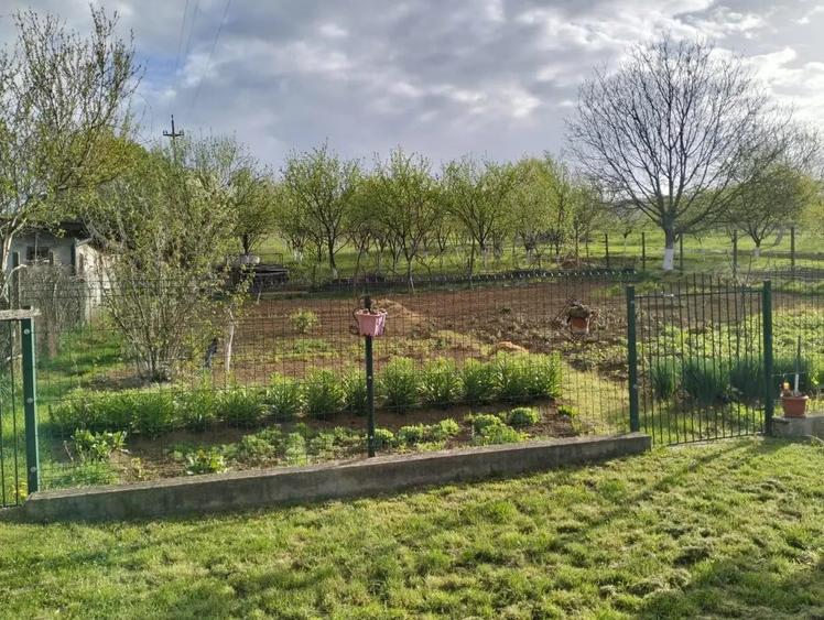 Casă cu 2 camere în Brănișca
