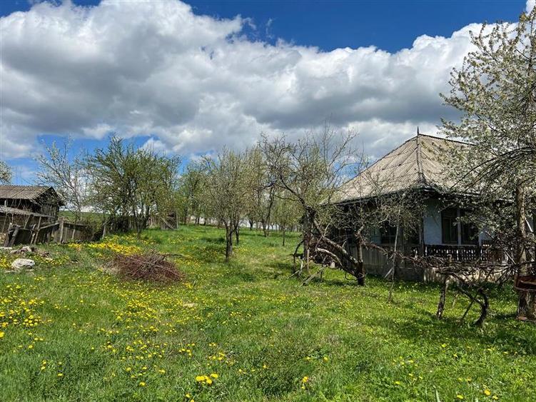 Teren intravilan de 4872 mp, în Antoceni