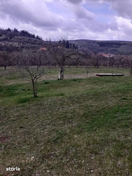 Teren de 6000 mp, în Dâmbul Rotund