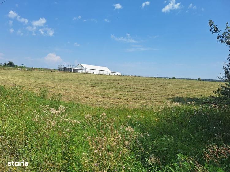 Teren de vanzare 23.298 mp | Ciorogarla, Ilfov |Acces rapid A1 si A0 - 10