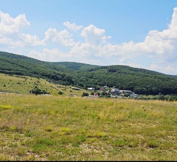 Teren de 3500 mp, în Dosu Bricii
