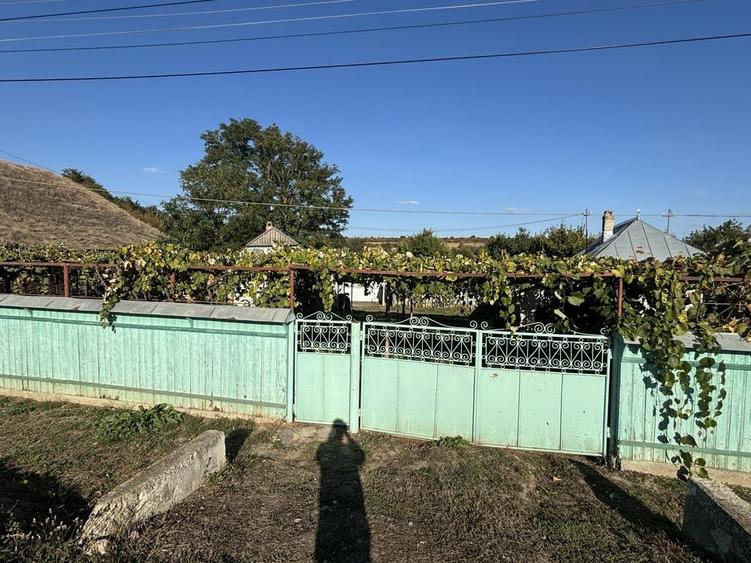 Casă cu 3 camere în Central