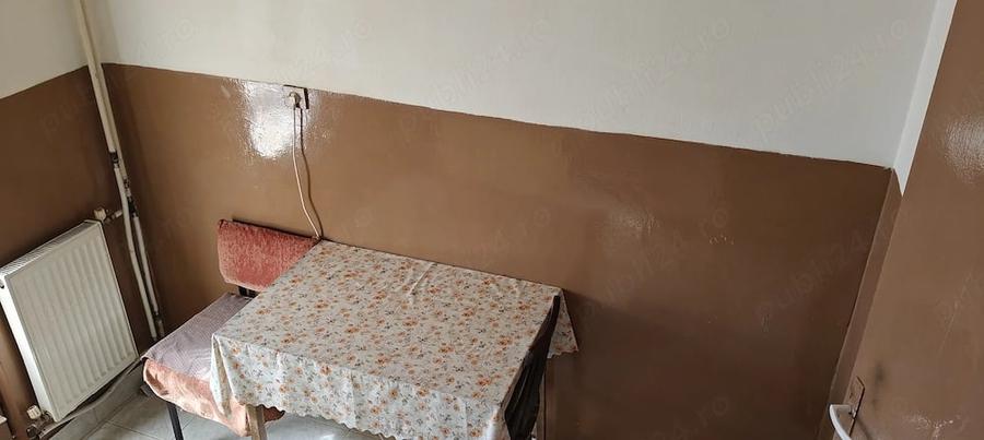 Apartament cu 2 camere decomandat în Nufărul