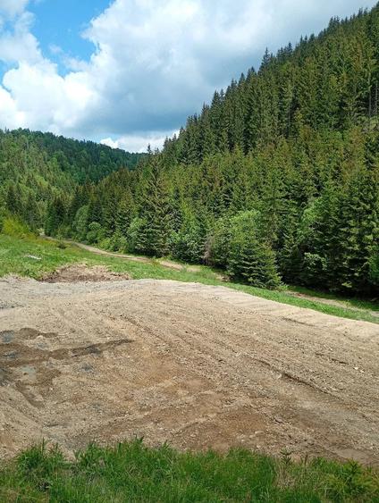 Teren de 3100 mp, în Muntele Băișorii