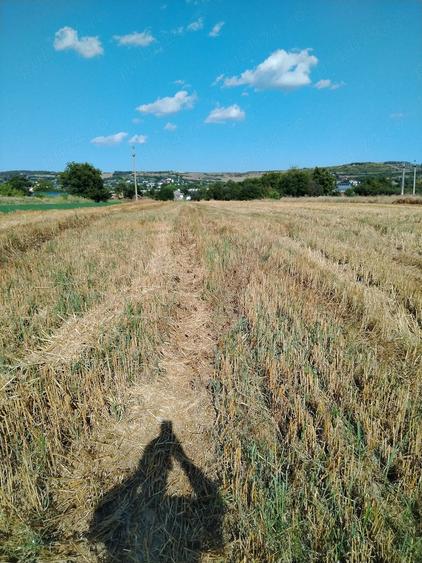 Teren de 2700 mp, în Central