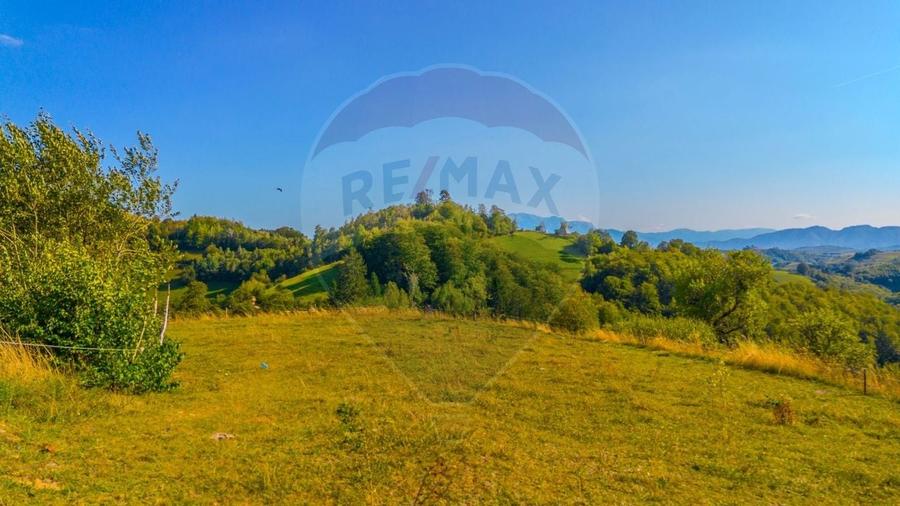 Teren agricol extravilan de 6014 mp, în Holbav