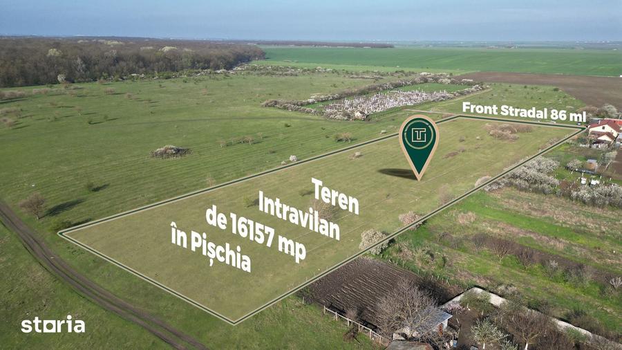Teren de 16157 mp, în Pișchia