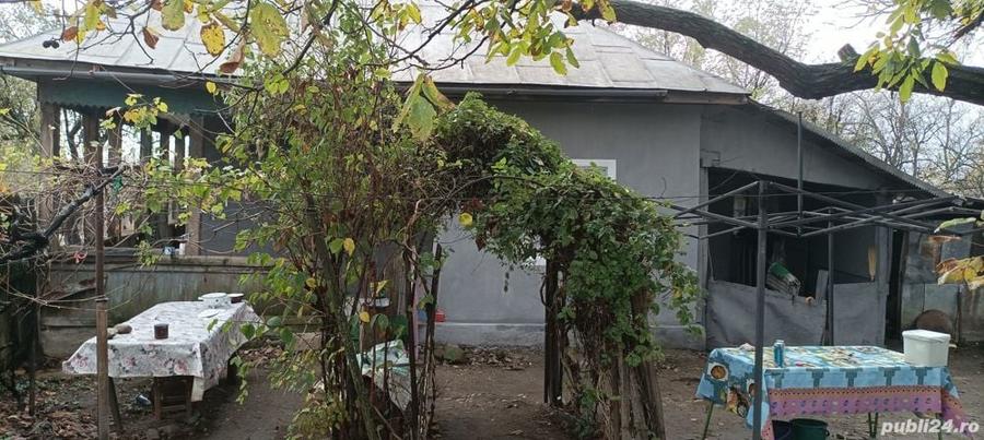 Casă cu 3 camere cu Teren 2493 Mp în Pădina