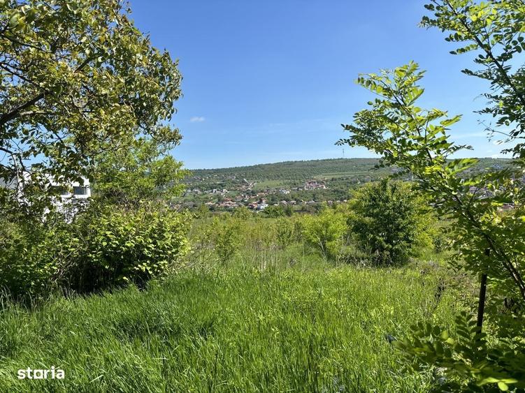 Tere intravilan Str Odobesti/Puz - 2
