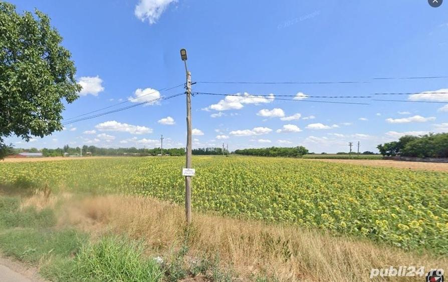Teren de 5000 mp, în Cotorca
