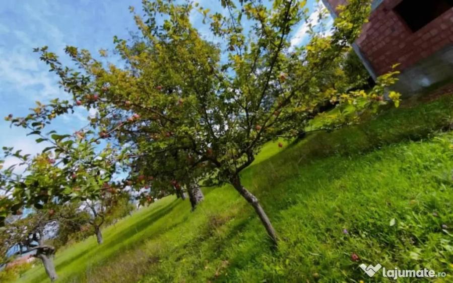 Casă cu 3 camere cu Teren 700 Mp în Dumbrăvița