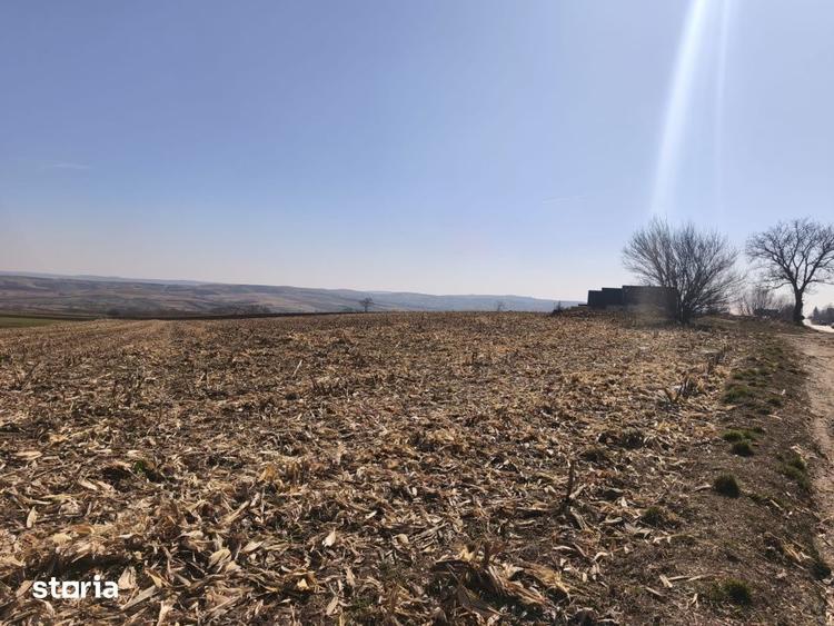 Teren de 6500 mp, în Grănicești