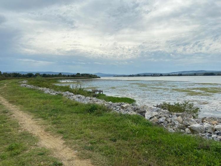 Teren agricol extravilan de 2950 mp, în Măcești