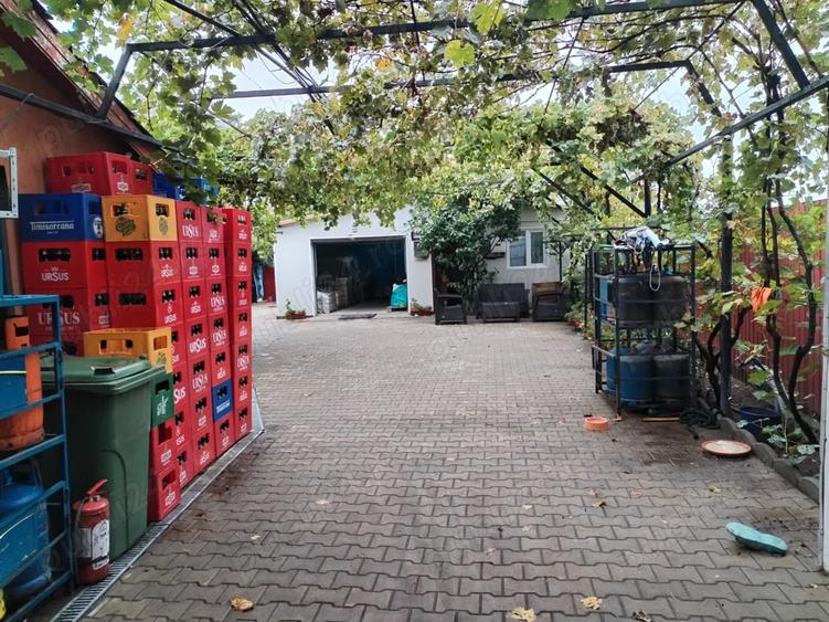 Spațiu comercial, de 200 mp, în Burila Mică