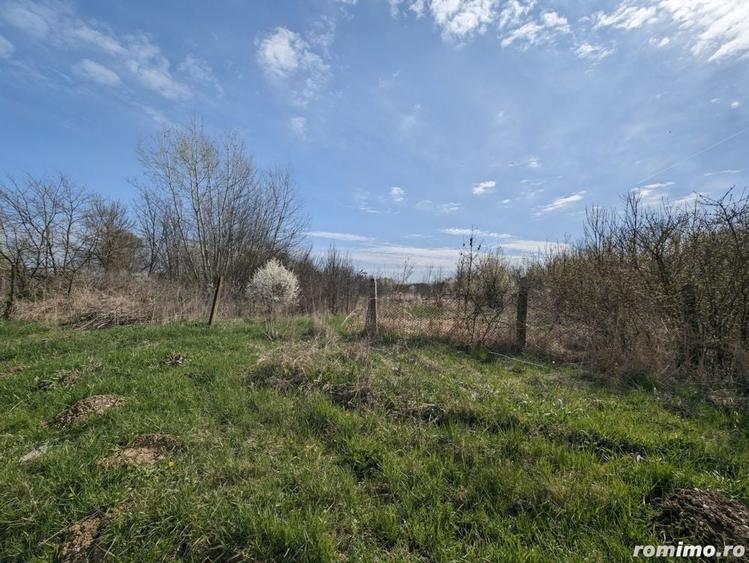Teren de 22500 mp, în Balinț