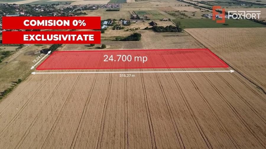 Teren Construcții intravilan de 24700 mp, în Pădureni (Jebel)