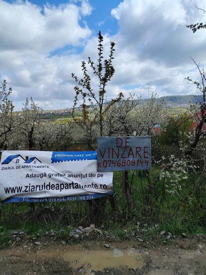 Teren de 1150 mp, în Bârnova