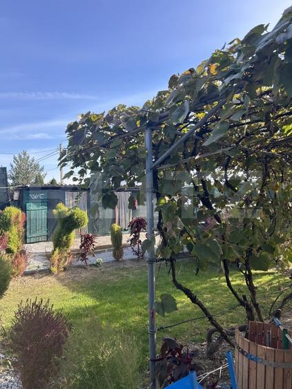 Casă individuală cu 2 camere cu Teren 1000 Mp în Bunești