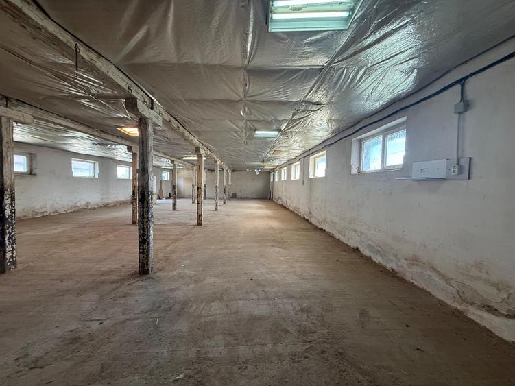 Spațiu industrial, de 230 mp, în Electroprecizia