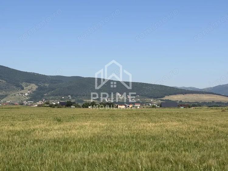 Teren de 11100 mp, în Central