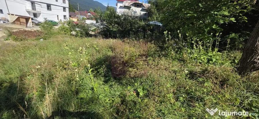 Teren în Zamora