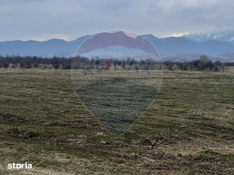 Teren de 10000 mp, în Pănicel