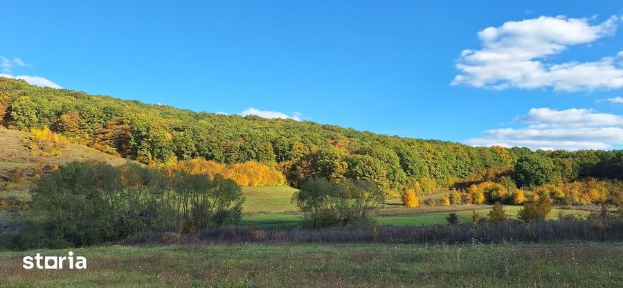 Teren de 1500 mp, în Corunca