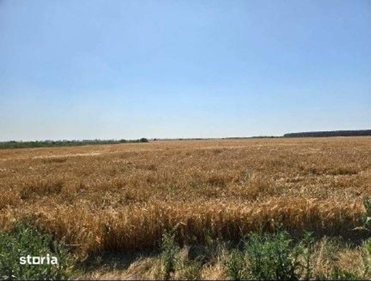 Teren de 1080 mp, în Măgurele
