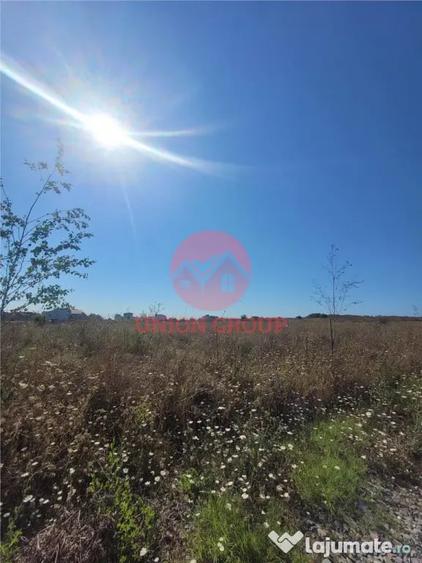 Teren Costinesti 1000 mp, Aproape de Plaja si de Nibiru, Ide - 5