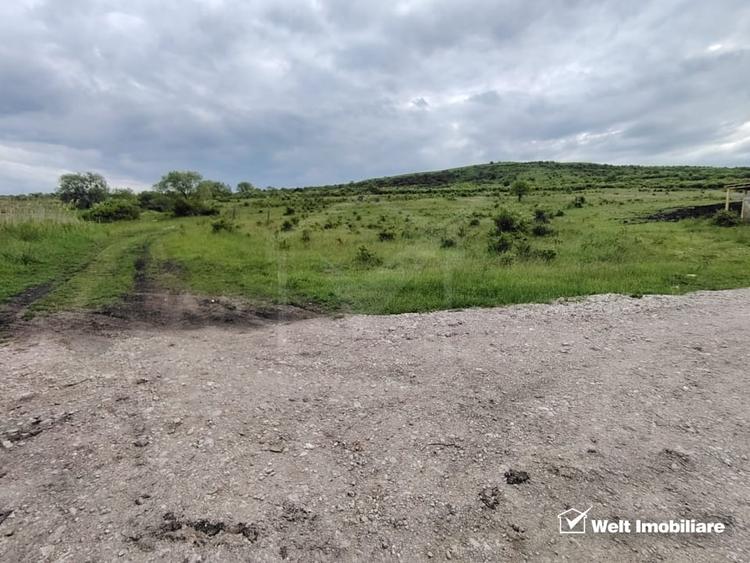 Teren agricol intravilan de 8700 mp, în Chinteni