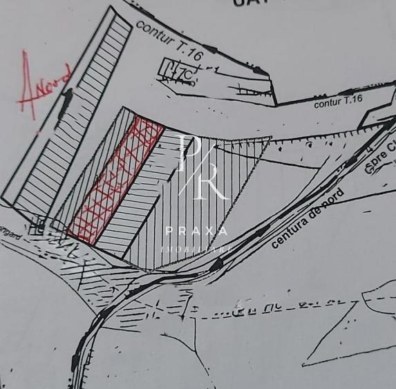 Teren Construcții intravilan de 3000 mp, în Florești